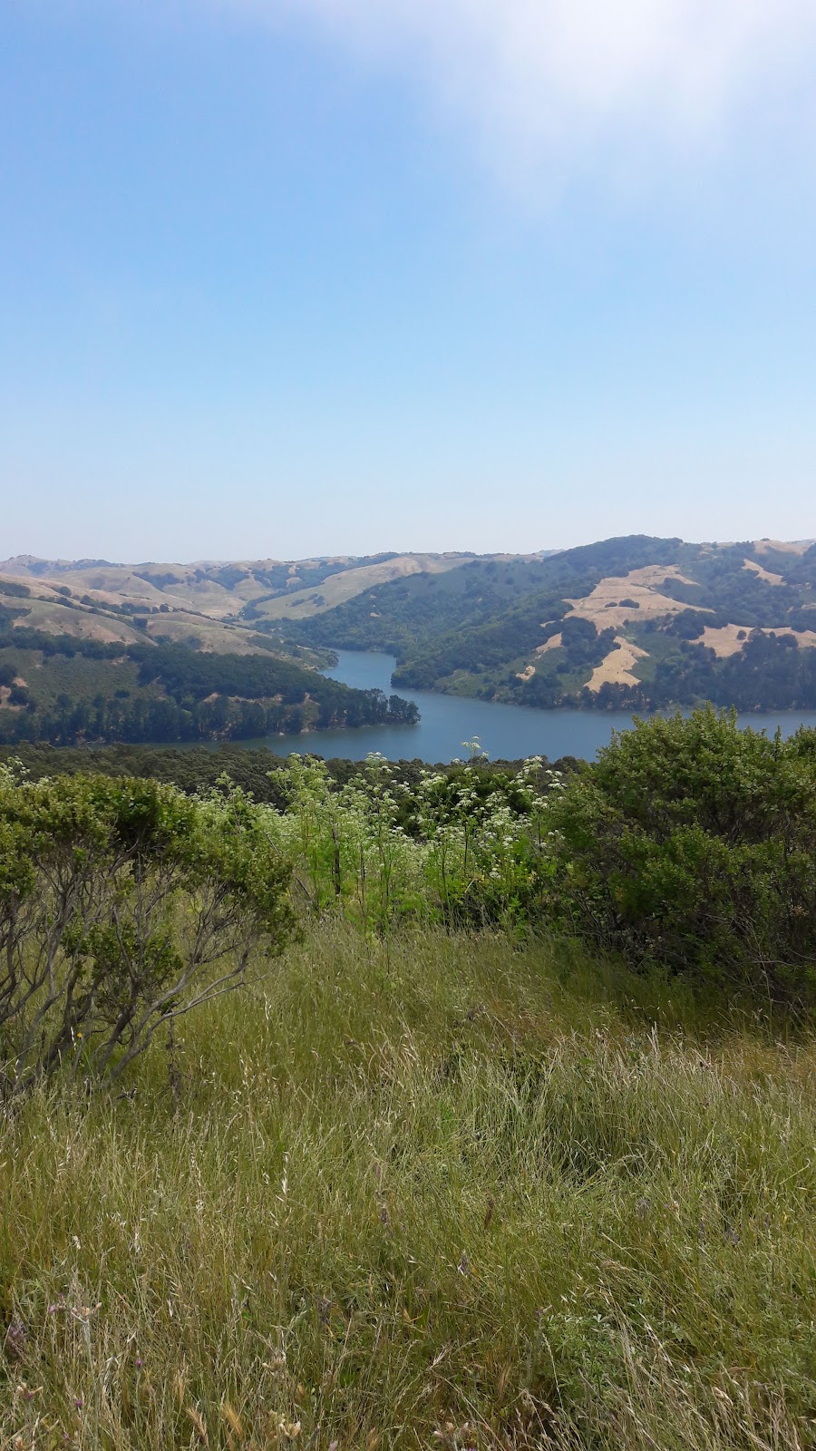 Best Schools in Contra Costa County, California