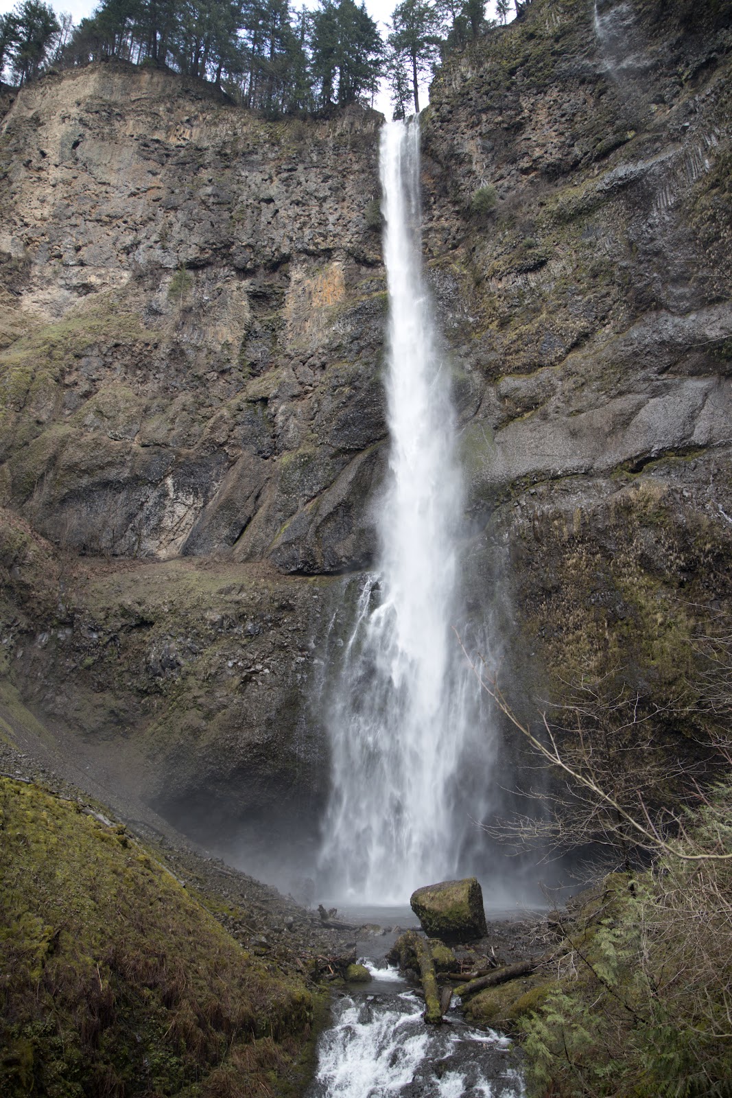 Best Schools in Multnomah County, Oregon